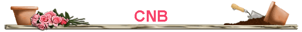 CNB
